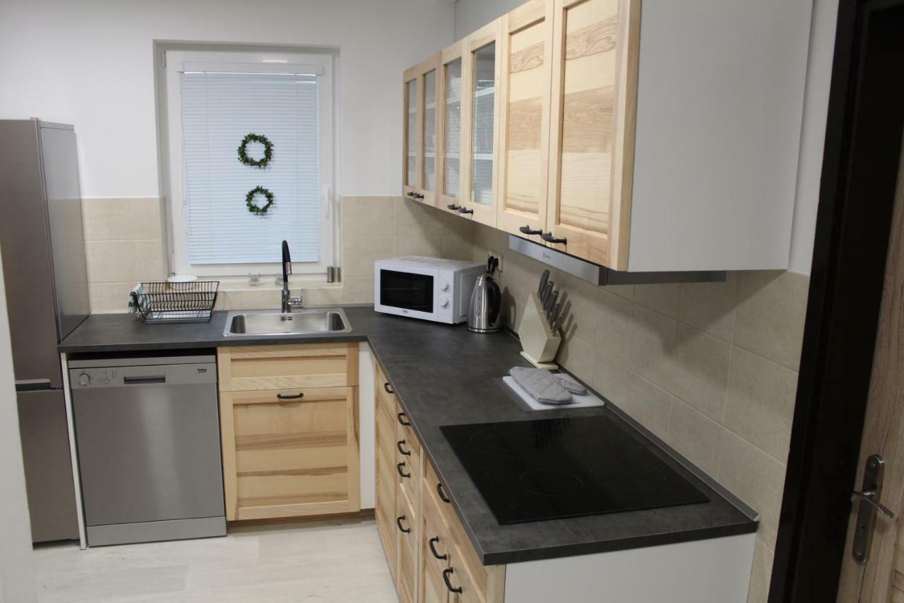 Vila Marianna Destne v Orlickych horach Ngoại thất bức ảnh