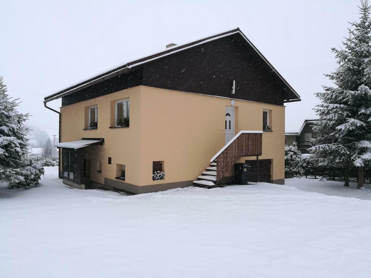 Vila Marianna Destne v Orlickych horach Ngoại thất bức ảnh
